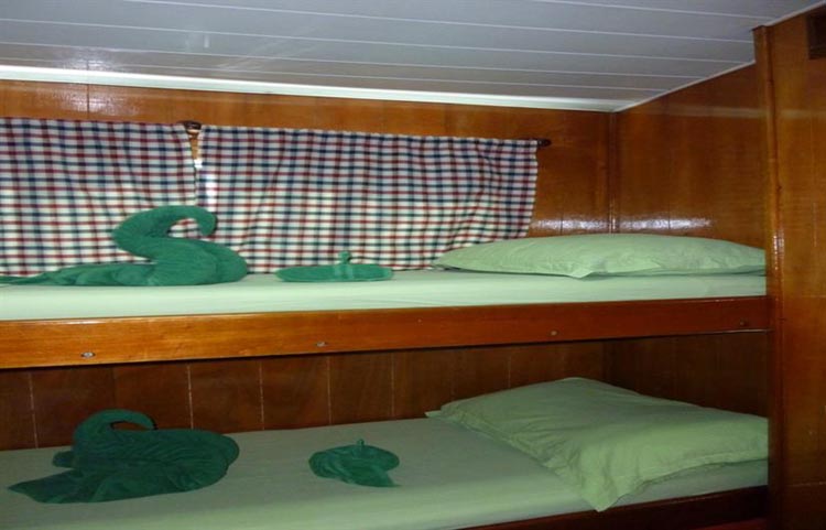 La-Reina Twin Bunk