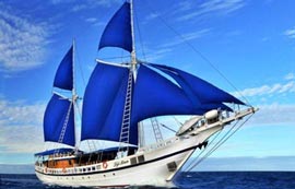 Fiji Liveaboard Diving Trips