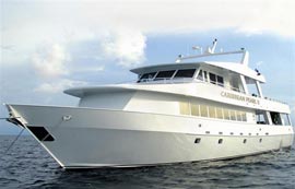 Honduras Liveaboard Diving Trips