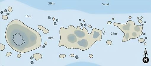 Shark Point Map